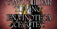 cómo cuidar tu Vino en Vinoteca Cecotec