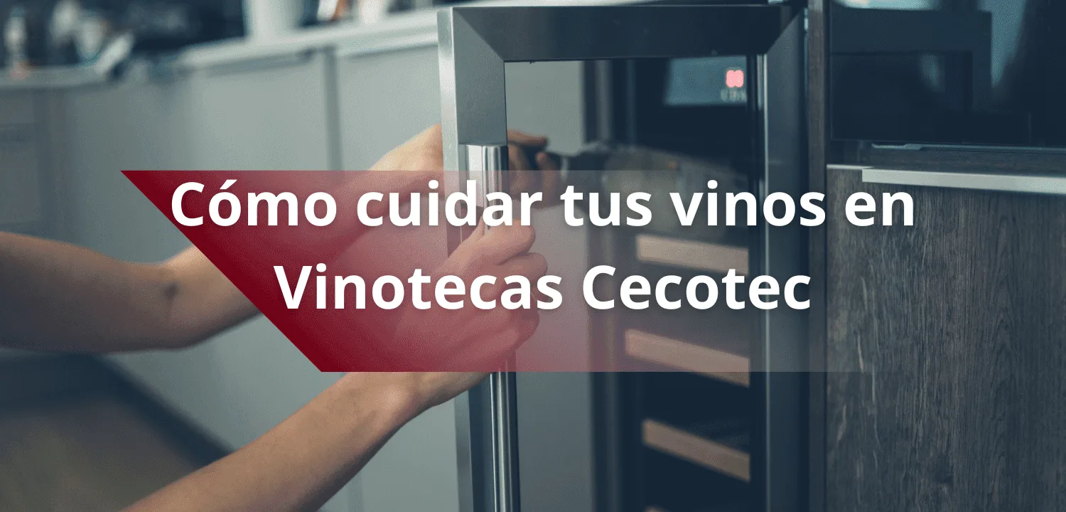 Cómo cuidar tus vinos en Vinotecas Cecotec