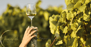 Comprar los Mejores Vinos Verdejo