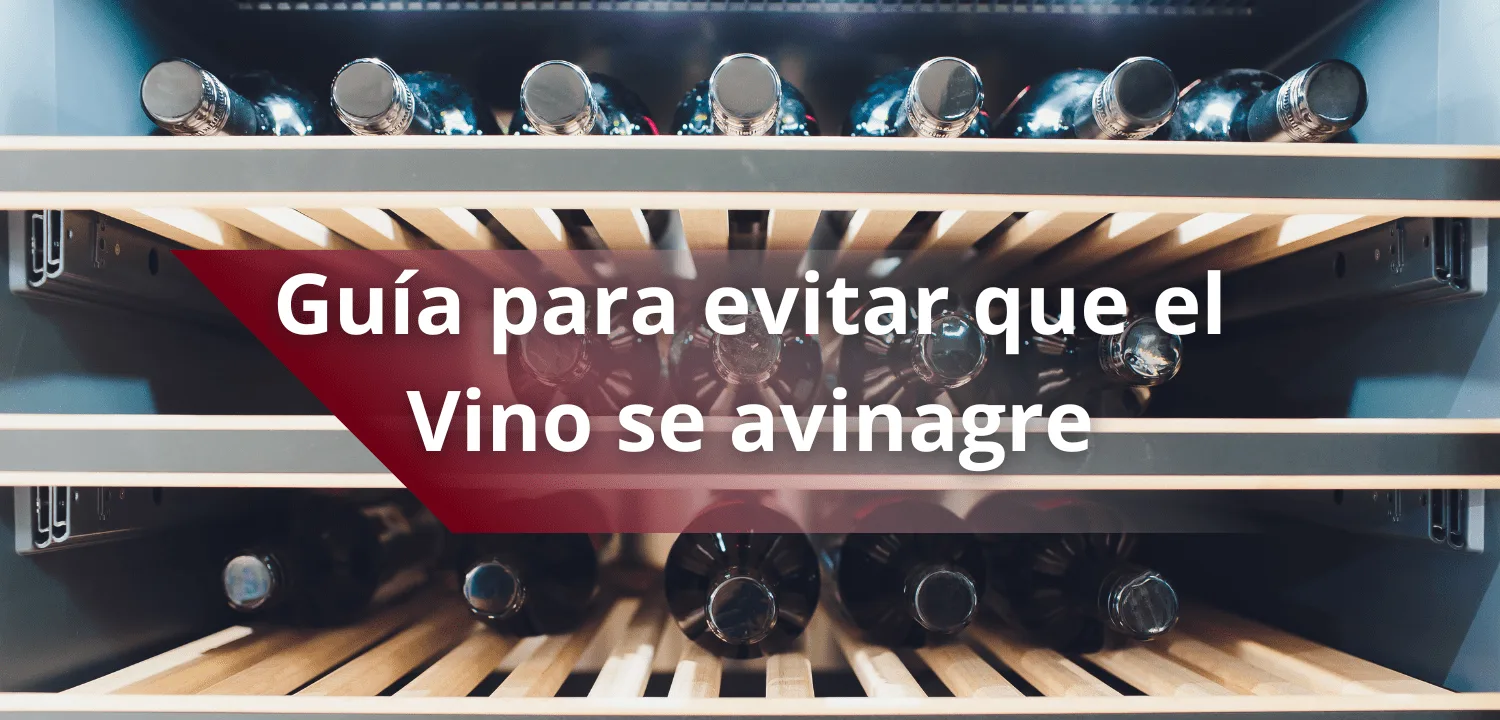 Guía para evitar que el vino se avinagre
