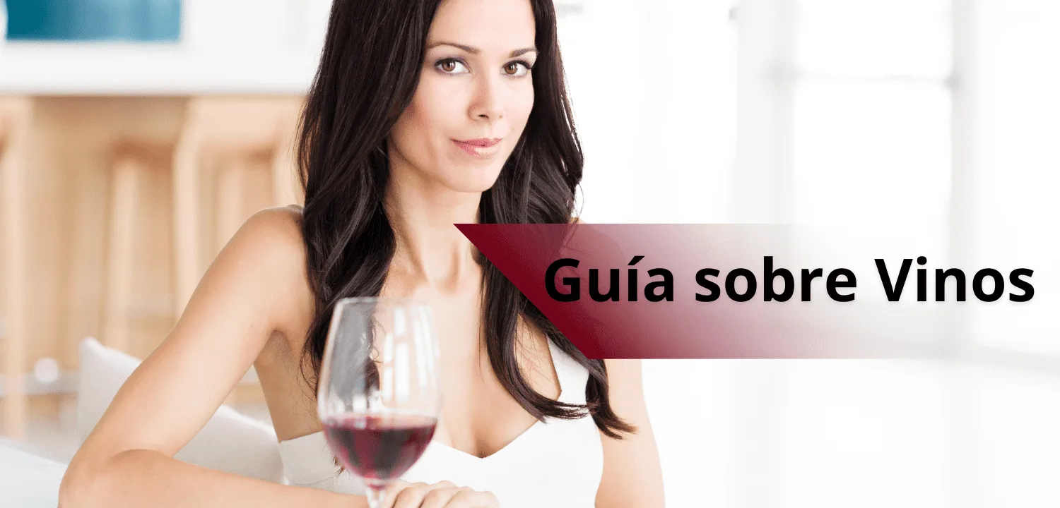 Guía sobre Vinos