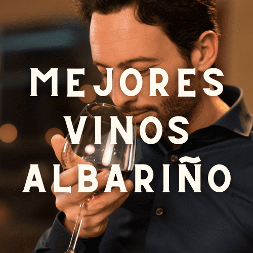 Mejores Vinos Albariño