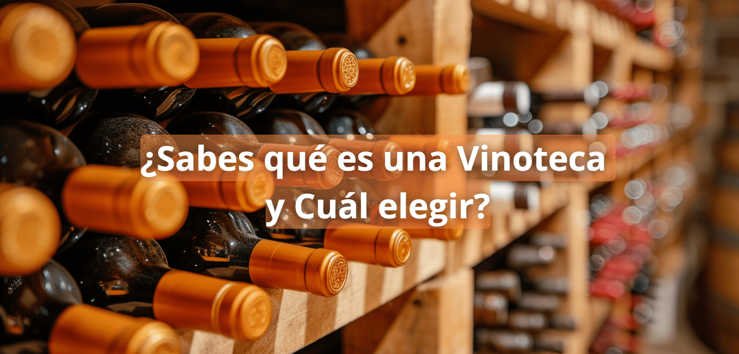 ¿Qué es una Vinoteca y cuál elegir?