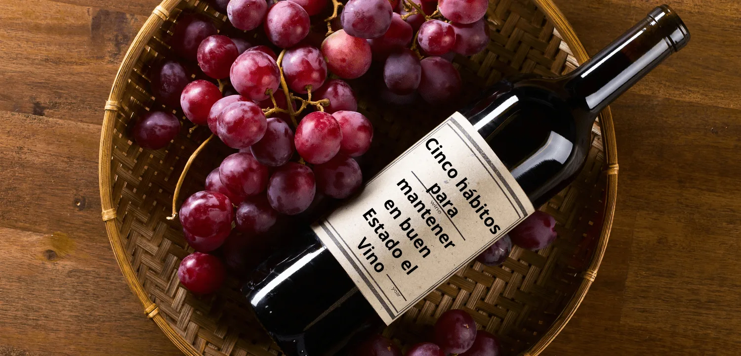 Cinco hábitos para mantener el Vino en buen estado
