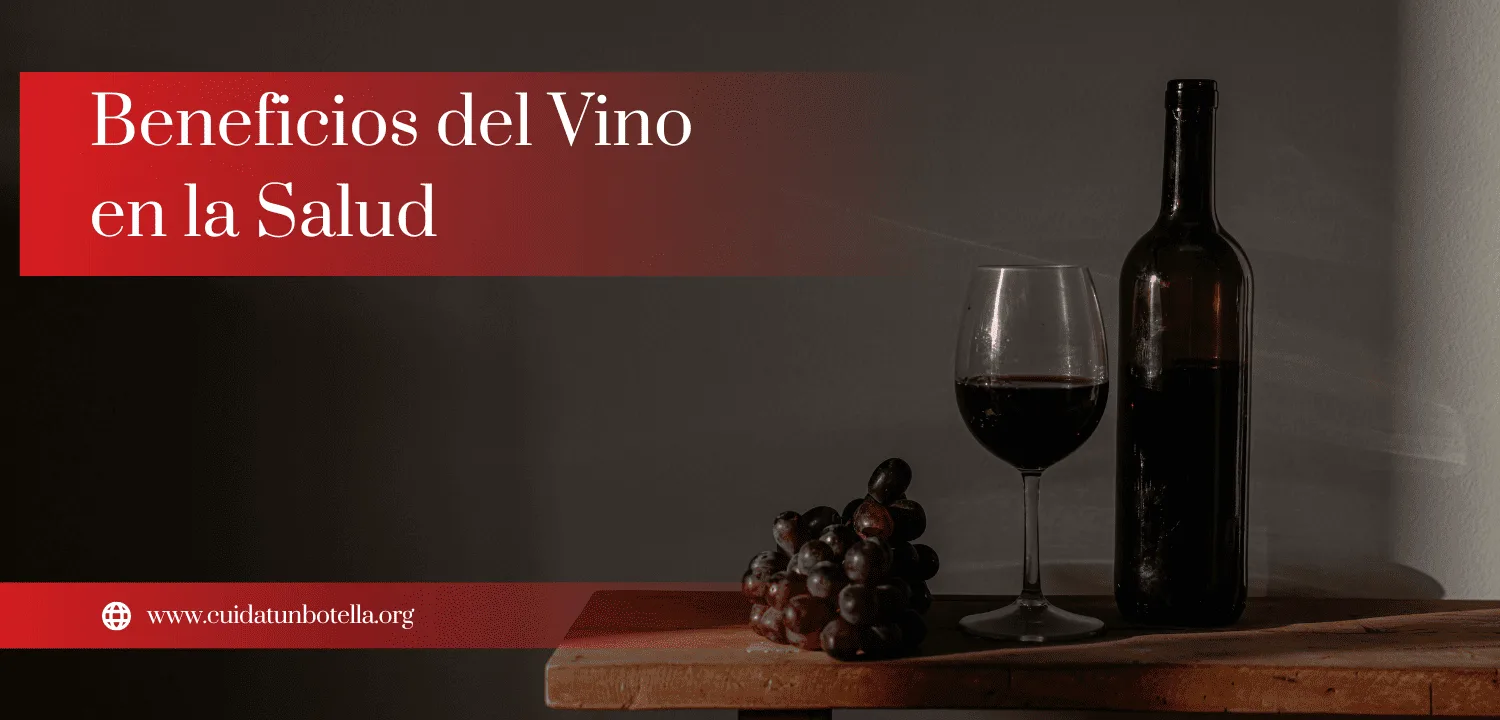 Beneficios del Vino en la Salud CUIDA TU BOTELLA