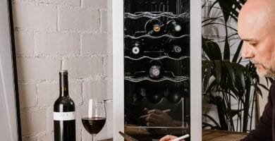 Vinoteca Taurus chanson